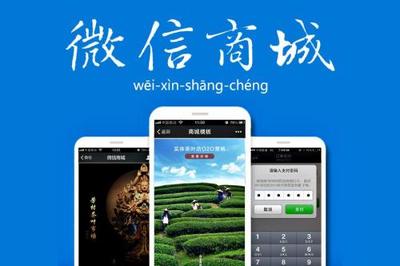 购物商城返积分系统营销模式