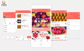 小龙虾 螺狮粉 网红小吃电商社区团购,有前景吗