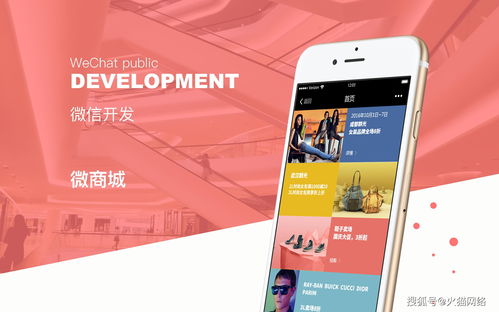 商城小程序定制开发大概多少钱